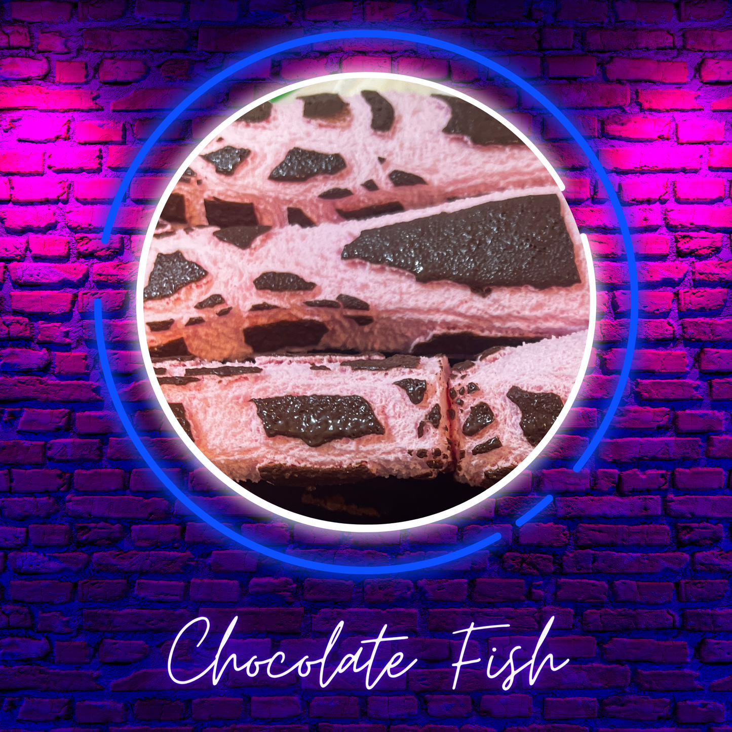 Freeze Dried - Chocolate Fish